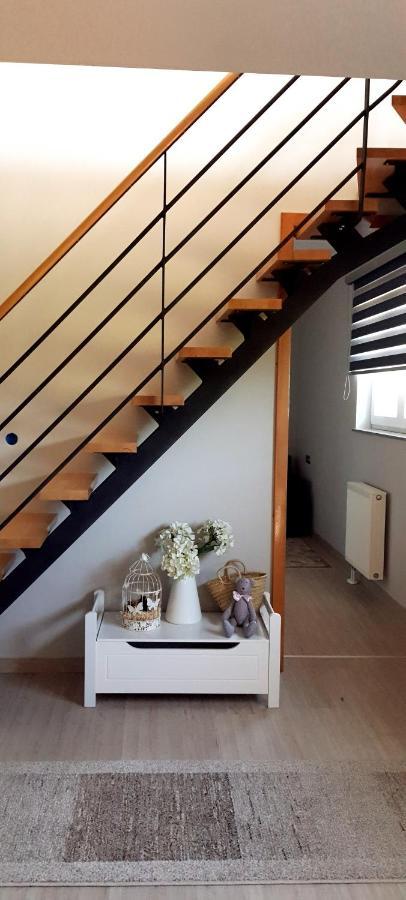 Apartmani Fenestra Tesla I Faust Otočac Exteriér fotografie